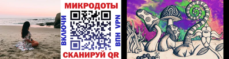 Галлюциногенные грибы Cubensis  Гороховец 